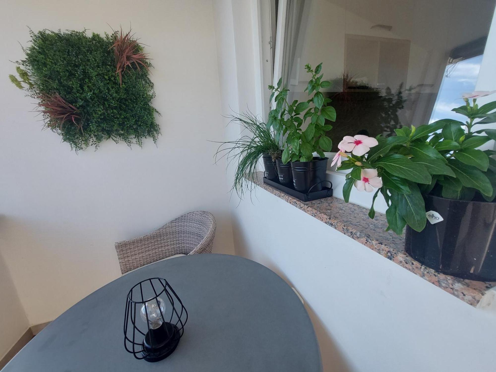 Palit Petra Rooms And Apartments חדר תמונה